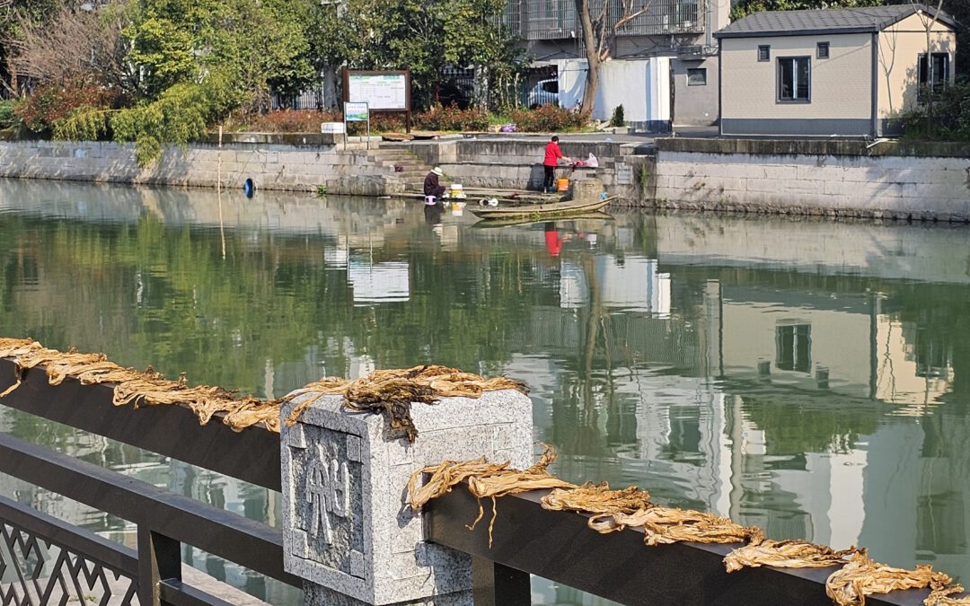 Shaoxing im neuen Licht